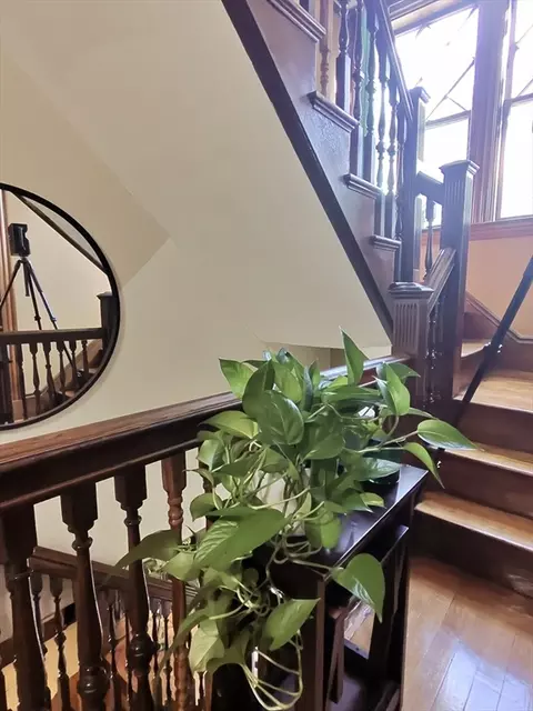 Entry Way - 19 Mt Ida Rd, Boston, MA 02122 photo 1 of 1