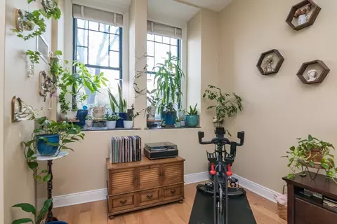 235 State St #105, Springfield, MA 01103 photo 11