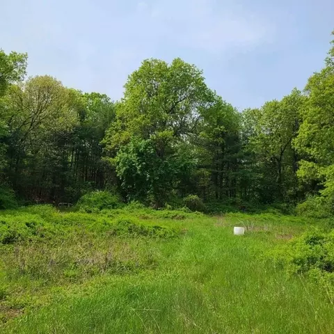 301 Tinkham Rd, Springfield, MA 01129 photo 4