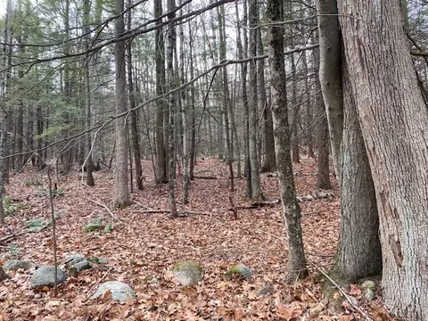 55 Wendell Road, New Salem, MA 01355
