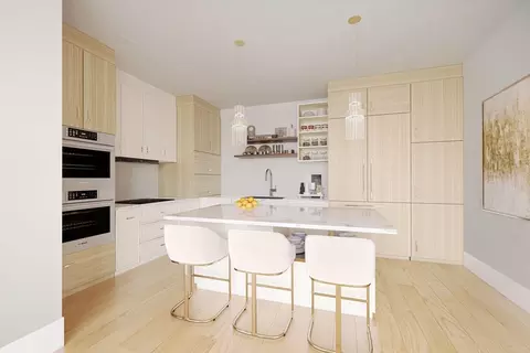 11 Goodwin Pl UNIT 11-1, Brookline, MA 02445 photo 8