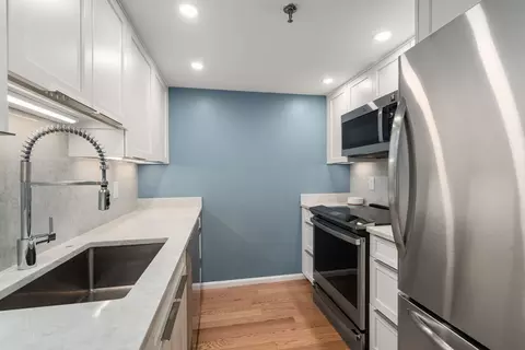 20 Webster St #201, Brookline, MA 02446 photo 8