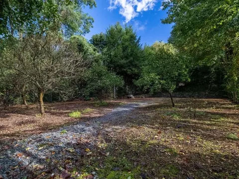 22 Elm St, Canton, MA 02021 photo 31