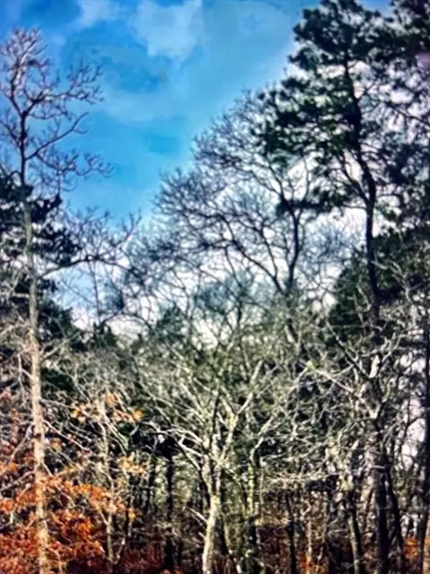 2 Old Farms Trl, Edgartown, MA 02539