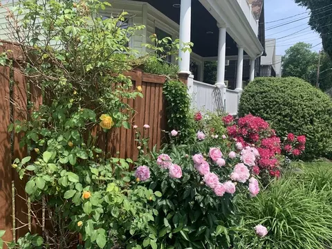Exterior - 62 Everett St #2, Arlington, MA 02474 photo 9 of 14
