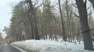 lot B Willow Rd, Boxford, MA 01921