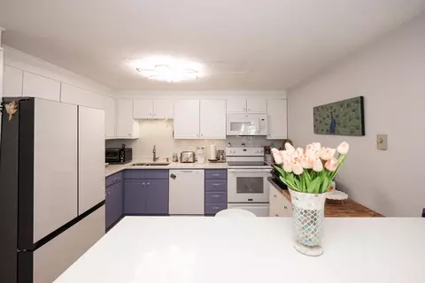 155 Hamilton St #4, Worcester, MA 01604 photo 7