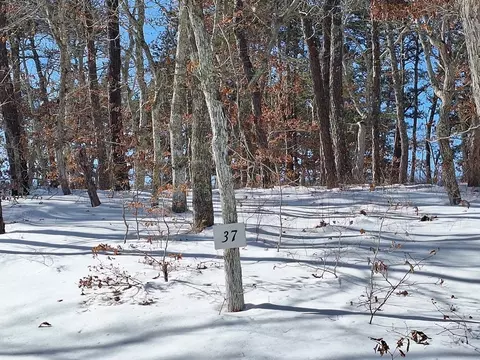 37 Oak Valley Rd, Wellfleet, MA 02667