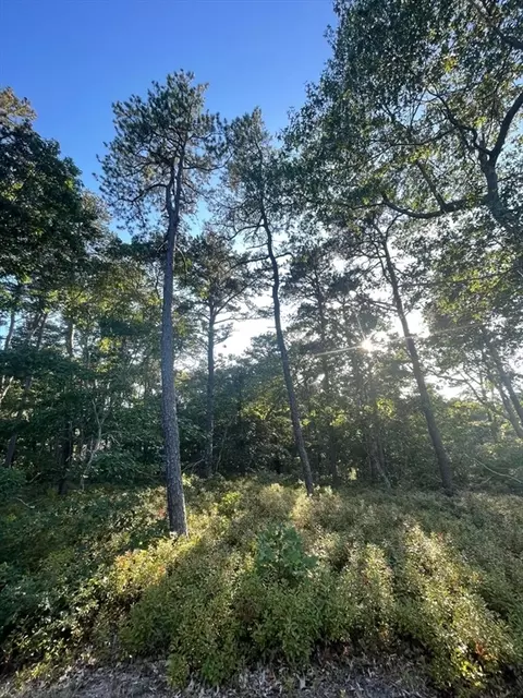 30 Sam Hollow Rd, Wellfleet, MA 02667