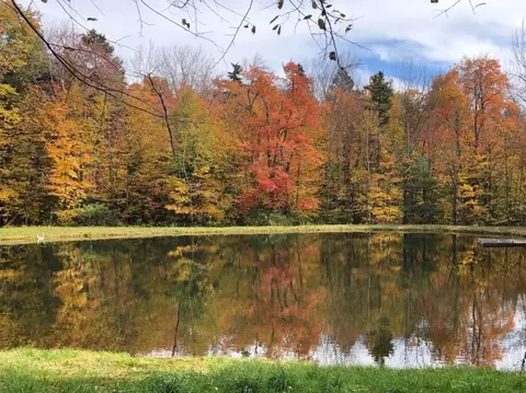 0 Gentian Hollow Rd, Becket, MA 01223