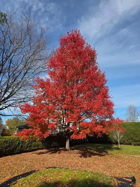 Other - 2 Oak St, Easthampton, MA 01027 photo 4 of 5