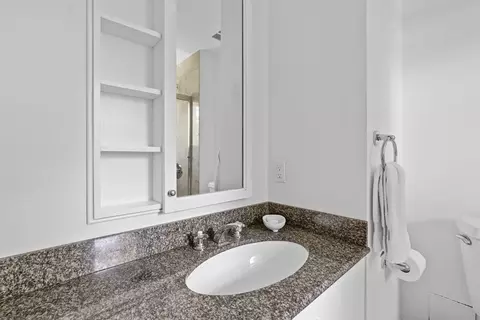 Bath - 331 Heath St, Chestnut Hill, MA 02467 photo 3 of 3