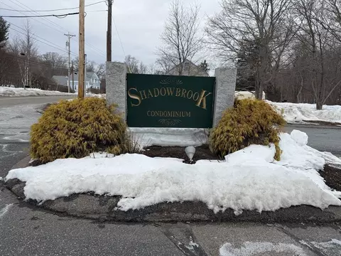 9 Shadowbrook Ln #1, Milford, MA 01757