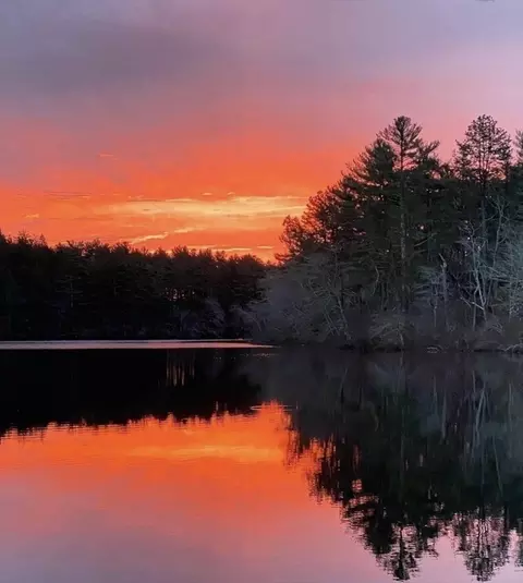 View/Area - 18 Red Pine Ln, Wareham, MA 02571 photo 8 of 9