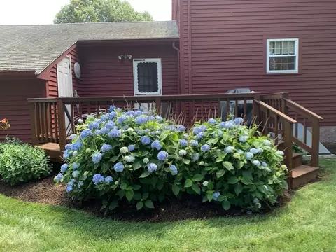 21 Brewster Dr, Needham, MA 02492 photo 24