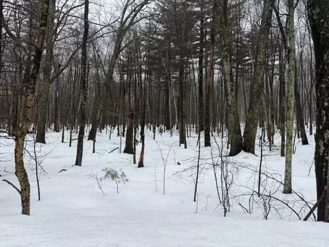 123 Peterson Rd, Palmer, MA 01069