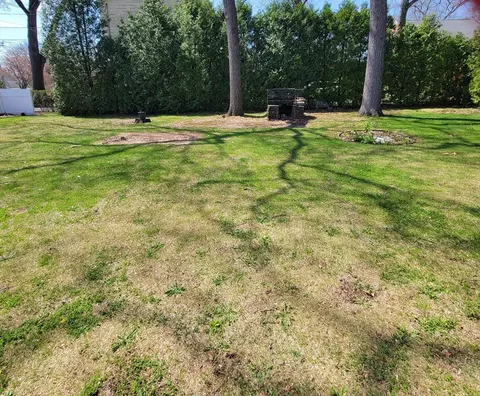 42 Carroll St, Springfield, MA 01118 photo 30