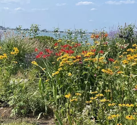 View/Area - 46 Sunset Ave, Hull, MA 02045 photo 5 of 7