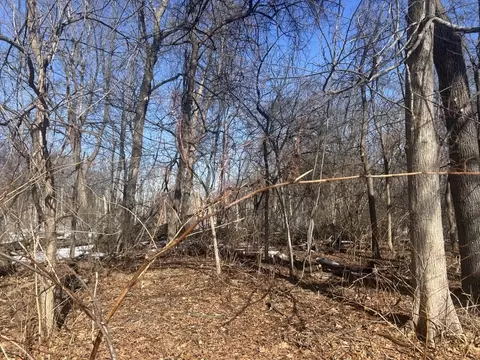 0 Marsden St, Springfield, MA 01118 photo 2