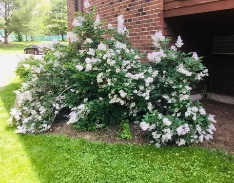 Exterior - 15 Davis Rd #B11, Acton, MA 01720 photo 5 of 6