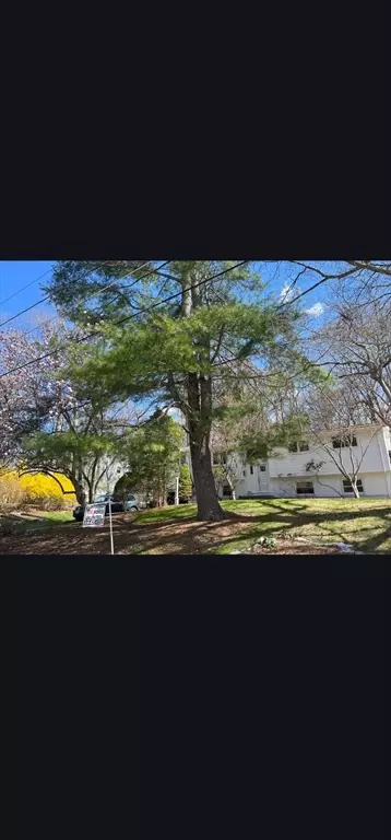 48 Spring Ln, Sharon, MA 02067 photo 22