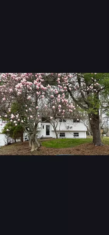 48 Spring Ln, Sharon, MA 02067 photo 20