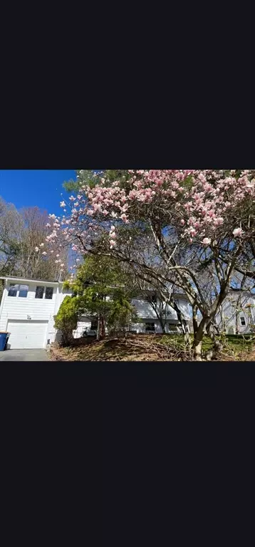 48 Spring Ln, Sharon, MA 02067 photo 25
