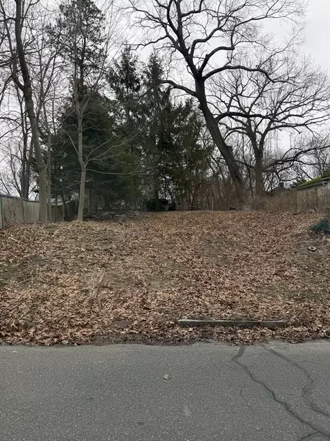 0 Laurelton St, Springfield, MA 01101