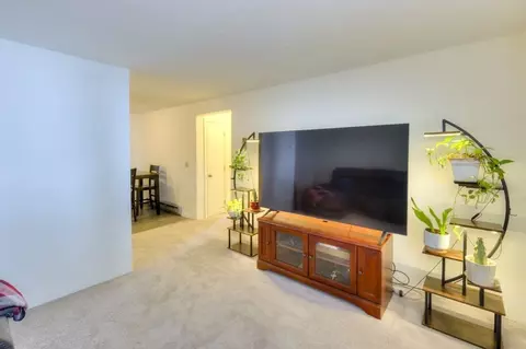 48 Gibbs St #2-1B, Worcester, MA 01607 photo 16