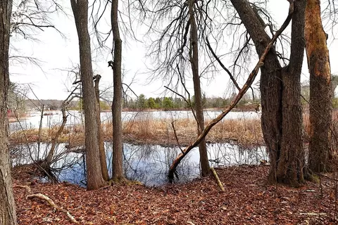 16 Black Point Rd, Webster, MA 01570 photo 11
