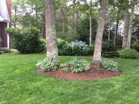 46 Snead Dr, Mashpee, MA 02649 photo 33