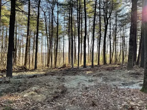 lot38 Michael Sears, Belchertown, MA 01007