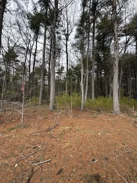 0 Pine St, Raynham, MA 02767