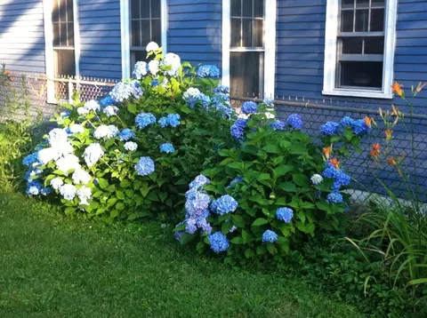 Exterior - 23 Germain St, Worcester, MA 01602 photo 3 of 6