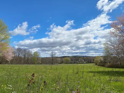 329 Fuller St, Ludlow, MA 01056 photo 7