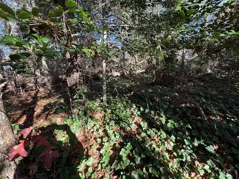 60 Richards Ln, Centerville, MA 02632 photo 14