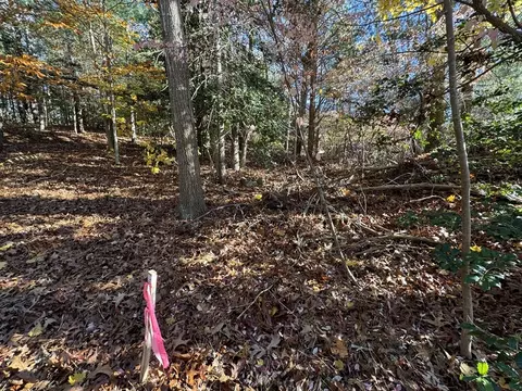 60 Richards Ln, Centerville, MA 02632 photo 10