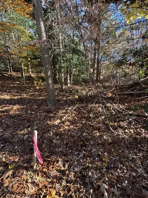 60 Richards Ln, Centerville, MA 02632 photo 9
