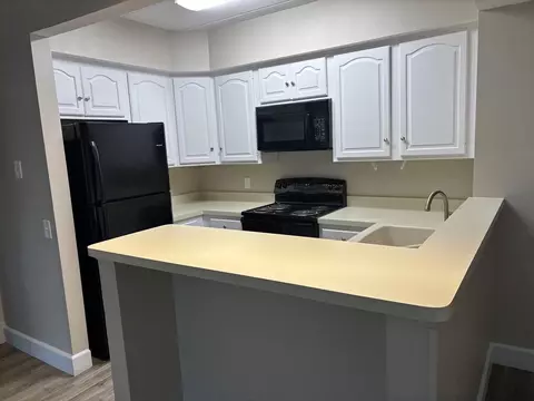 34 Sumner Ave #301, Springfield, MA 01108 photo 3