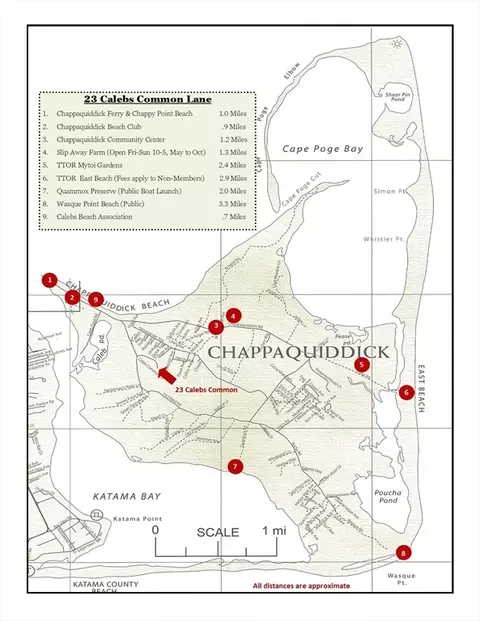 23 Calebs Common Ln, Edgartown, MA 02539 photo 3