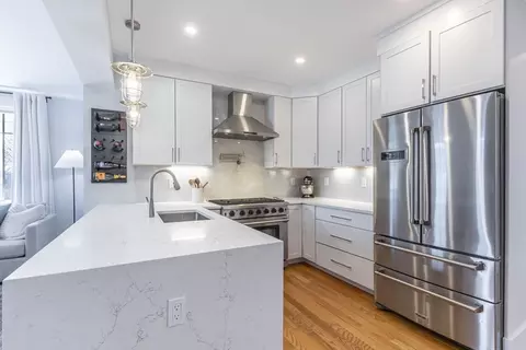 55 Alpine Way #2, Boston, MA 02125 photo 14