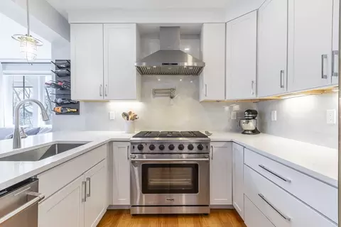 55 Alpine Way #2, Boston, MA 02125 photo 8