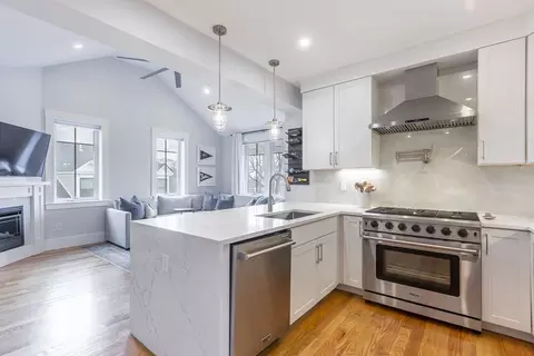 55 Alpine Way #2, Boston, MA 02125 photo 7