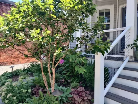 8 Lafayette St, Arlington, MA 02474