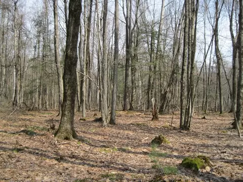 0 Mohawk Lake Rd, Stockbridge, MA 01262