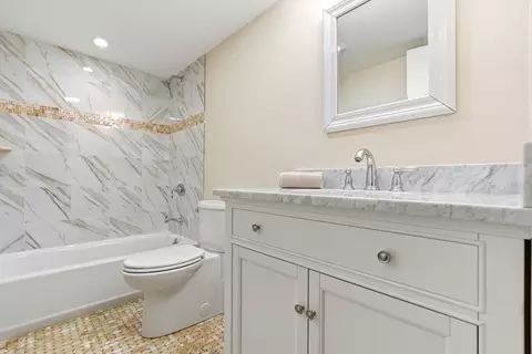 36 Naples Rd, Brookline, MA 02446 photo 29