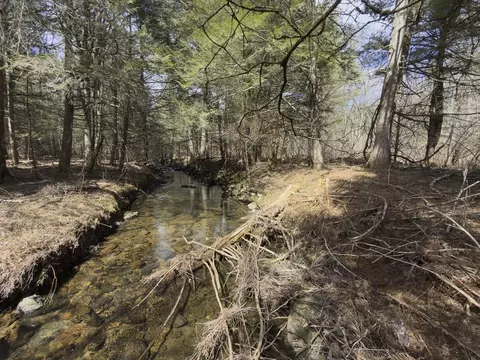 151 Ashfield Rd, Williamsburg, MA 01096 photo 10
