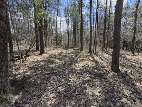 151 Ashfield Rd, Williamsburg, MA 01096 photo 5