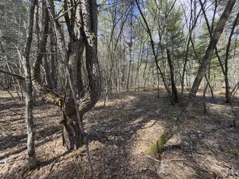 151 Ashfield Rd, Williamsburg, MA 01096 photo 8