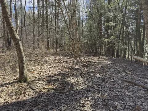 151 Ashfield Rd, Williamsburg, MA 01096 photo 12